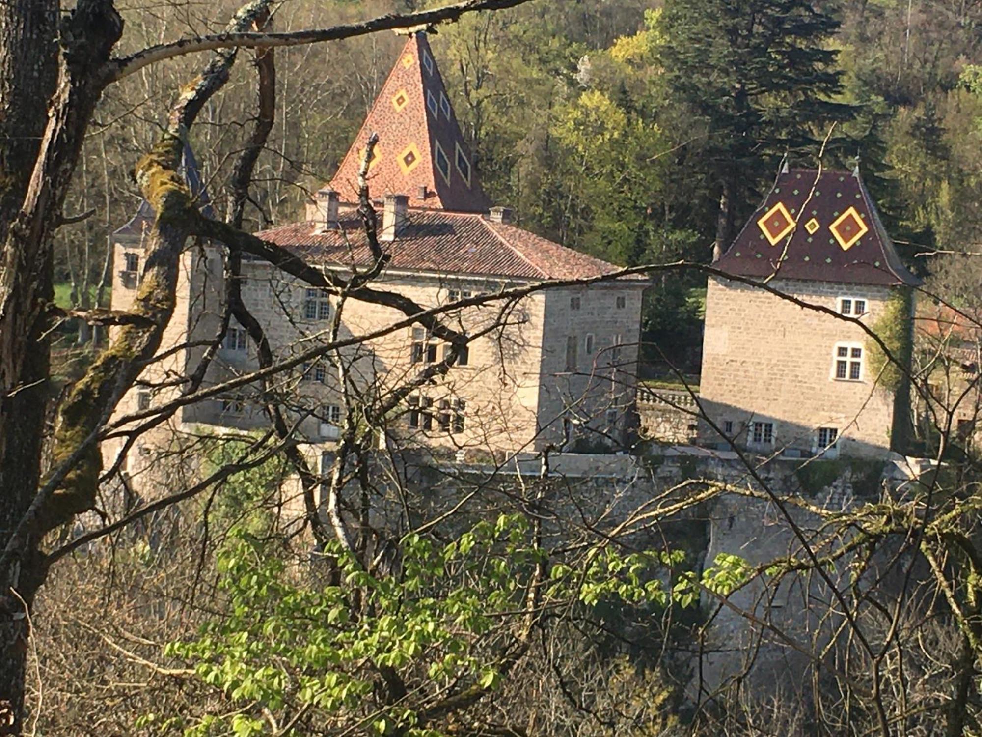 Vercors En Vert , Chambres D'Hotes De Charme Saint-Romans  Экстерьер фото